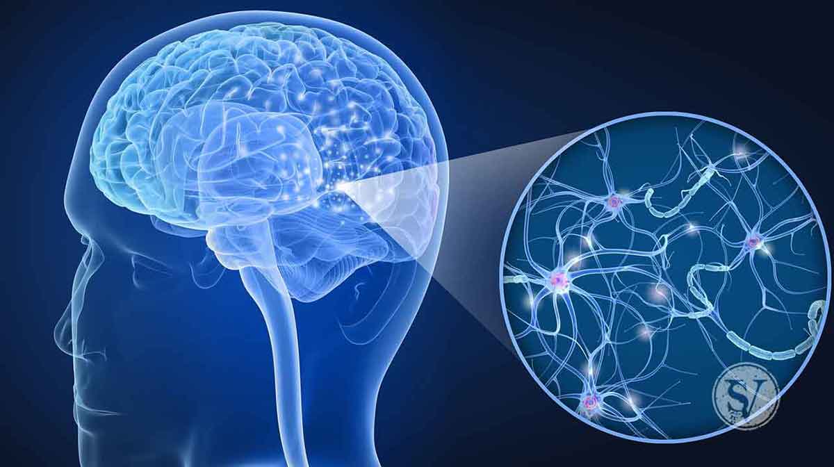 پیشگیری از پارکینسون